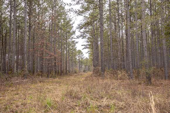 120 Acres of Recreational Land for Sale in Liberty, Mississippi