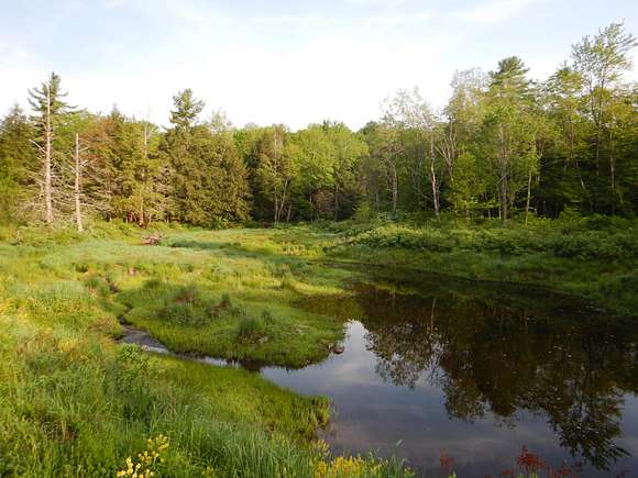 53.37 Acres of Recreational Land for Sale in Plymouth, New York