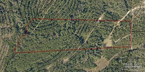 15.259 Acres of Land for Sale in Pace, Florida