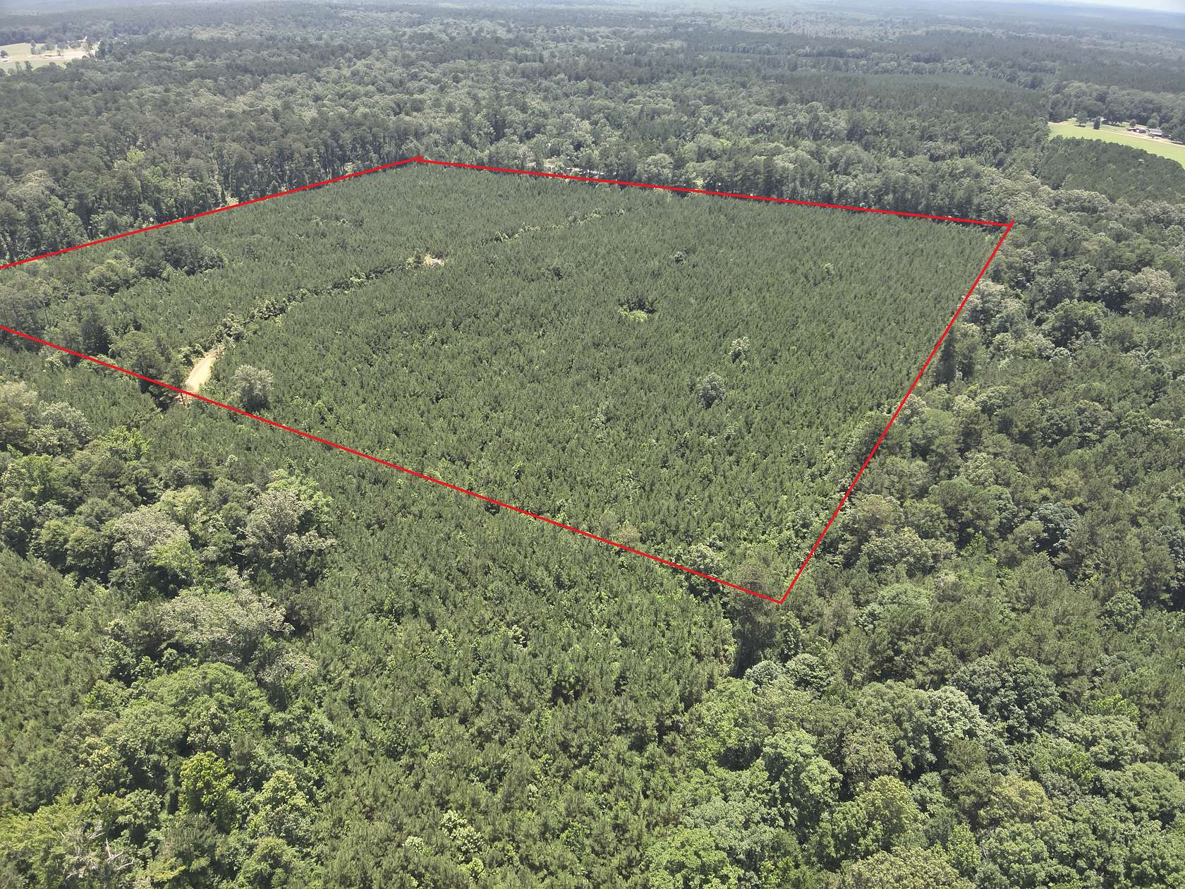 40 Acres of Land for Sale in El Dorado, Arkansas