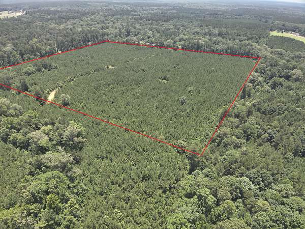 40 Acres of Land for Sale in El Dorado, Arkansas