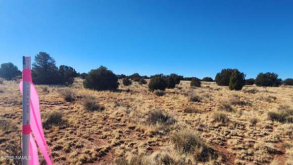 10 Acres of Recreational Land for Sale in Williams, Arizona