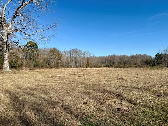 4 Acres of Agricultural Land for Sale in Hartford, Alabama