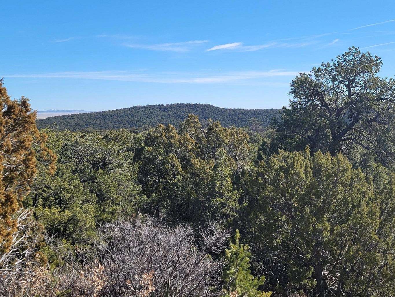 10 Acres of Recreational Land & Farm for Sale in Edgewood, New Mexico