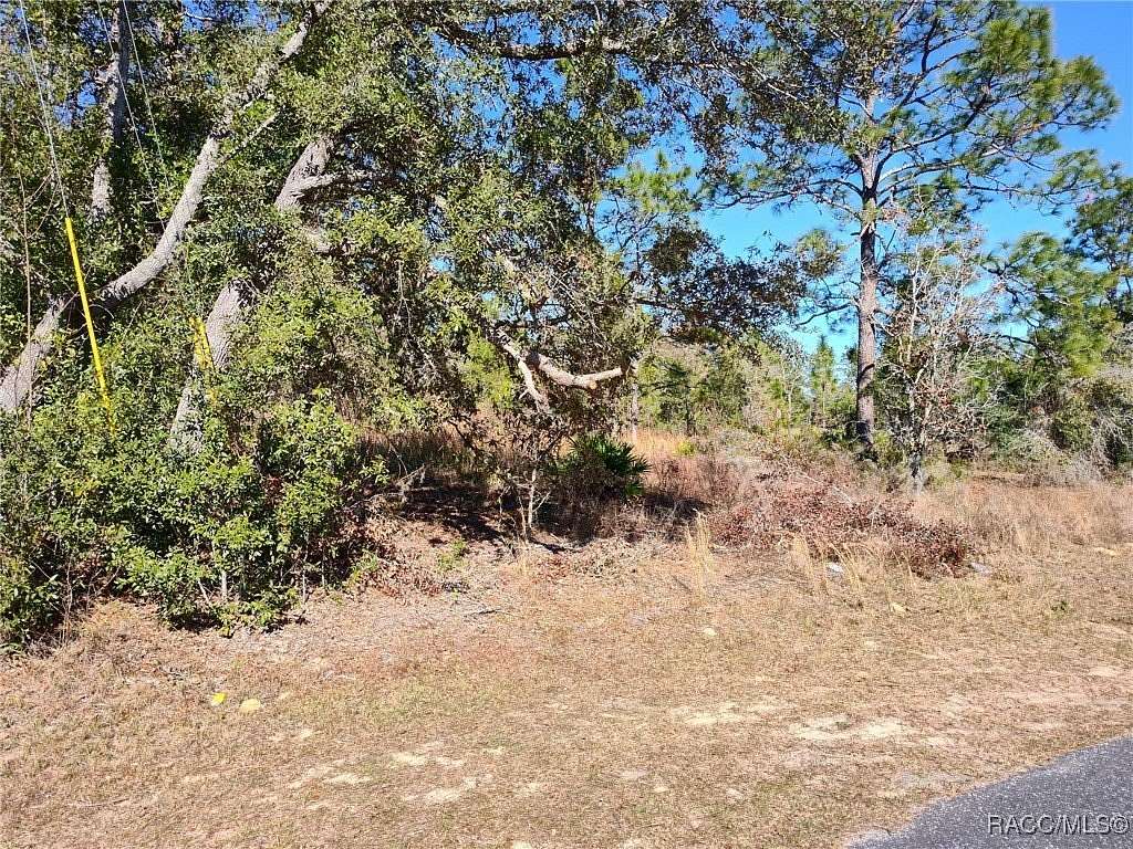 0.28 Acres of Residential Land for Sale in Citrus Springs, Florida