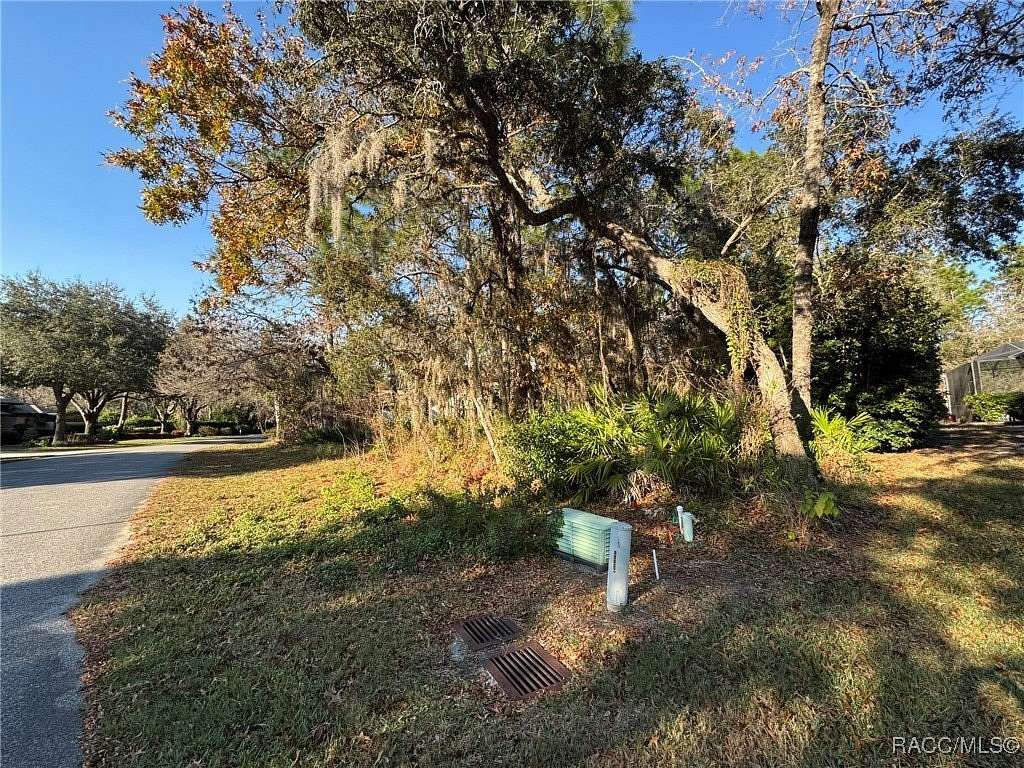 0.28 Acres of Residential Land for Sale in Homosassa, Florida