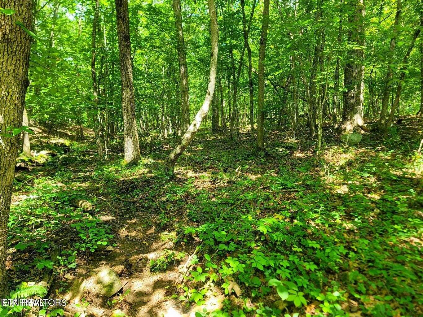 0.34 Acres of Residential Land for Sale in Crossville, Tennessee