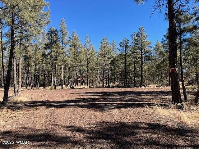 5 Acres of Residential Land for Sale in Lakeside, Arizona