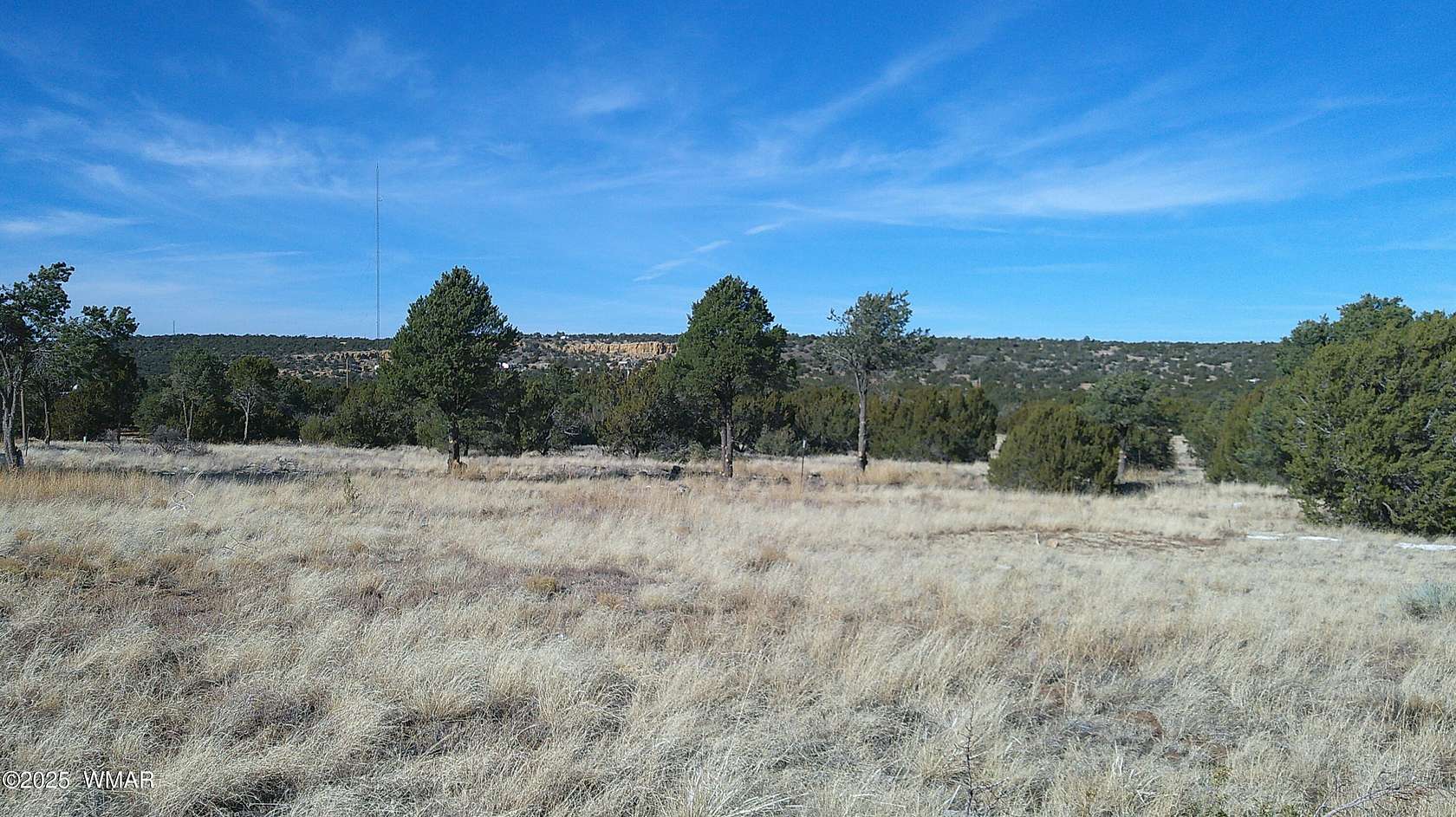 1.04 Acres of Residential Land for Sale in Concho, Arizona