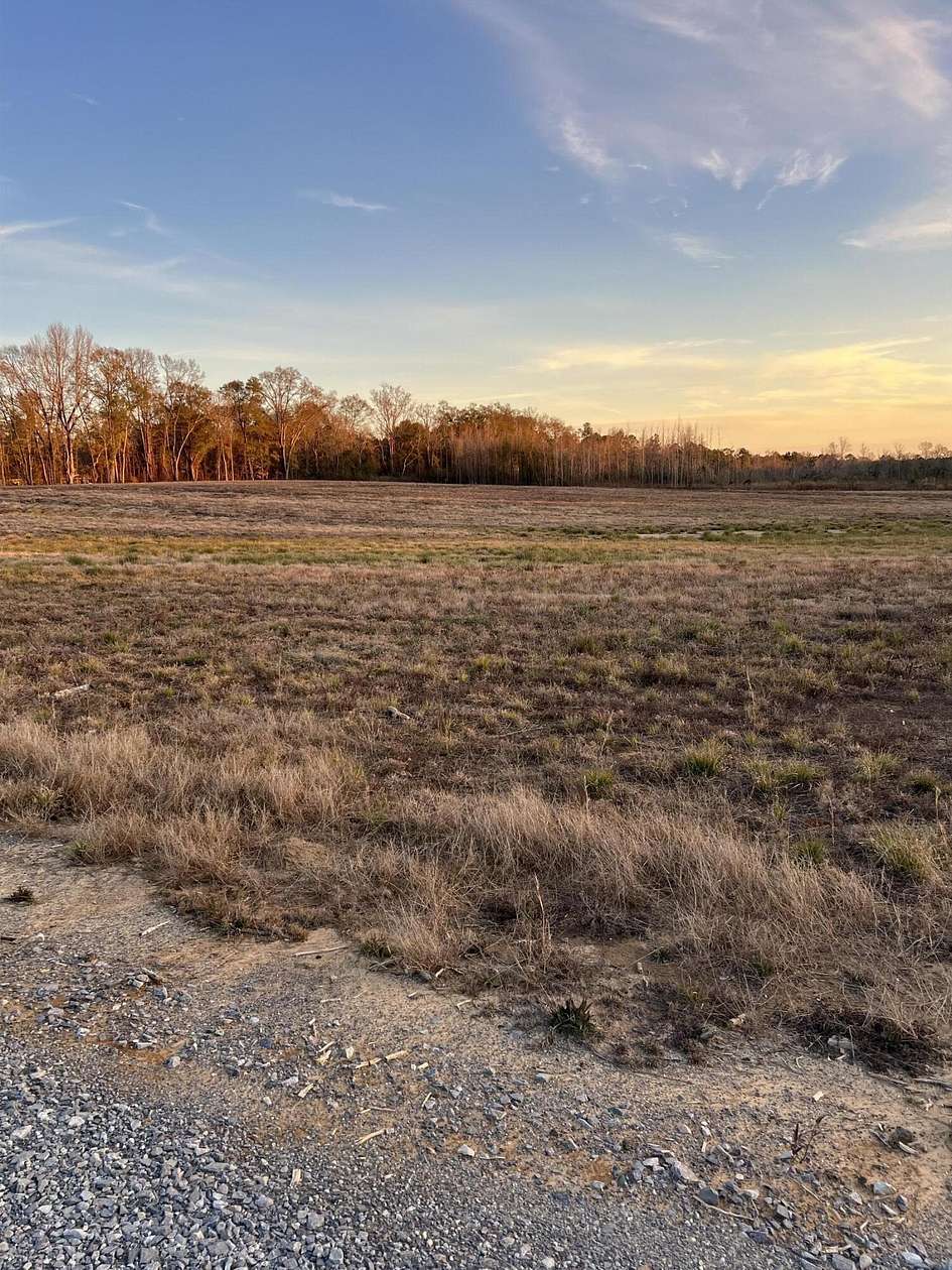 1 Acre of Residential Land for Sale in Waynesboro, Mississippi