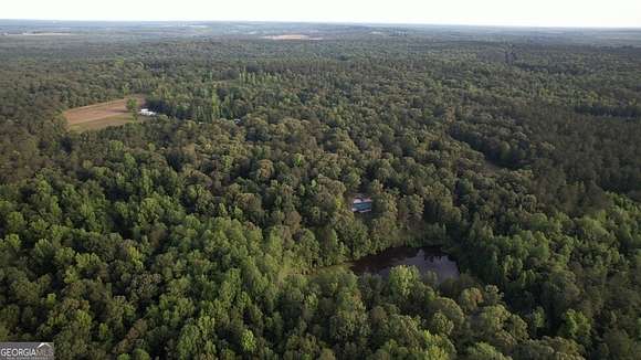 45.06 Acres of Recreational Land & Farm for Sale in Fort Valley, Georgia