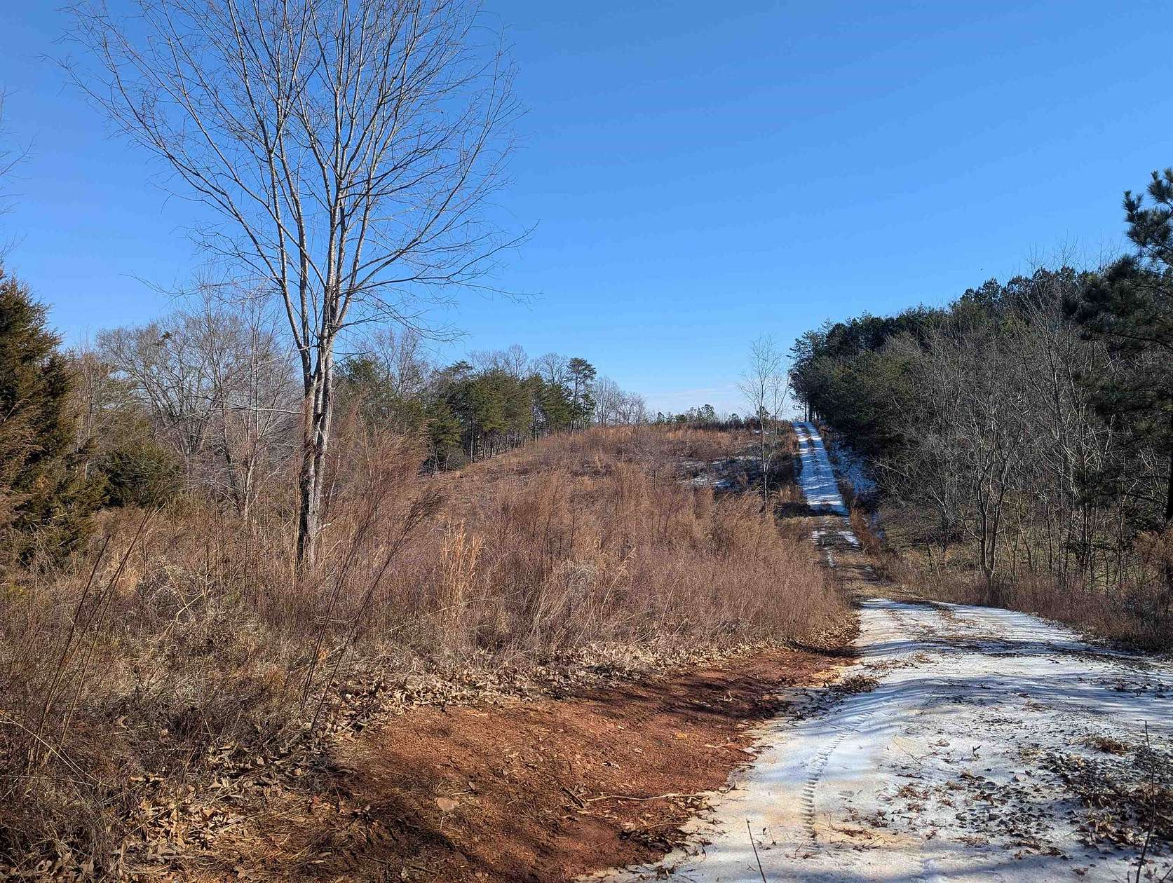 4 Acres of Land for Sale in Campobello, South Carolina