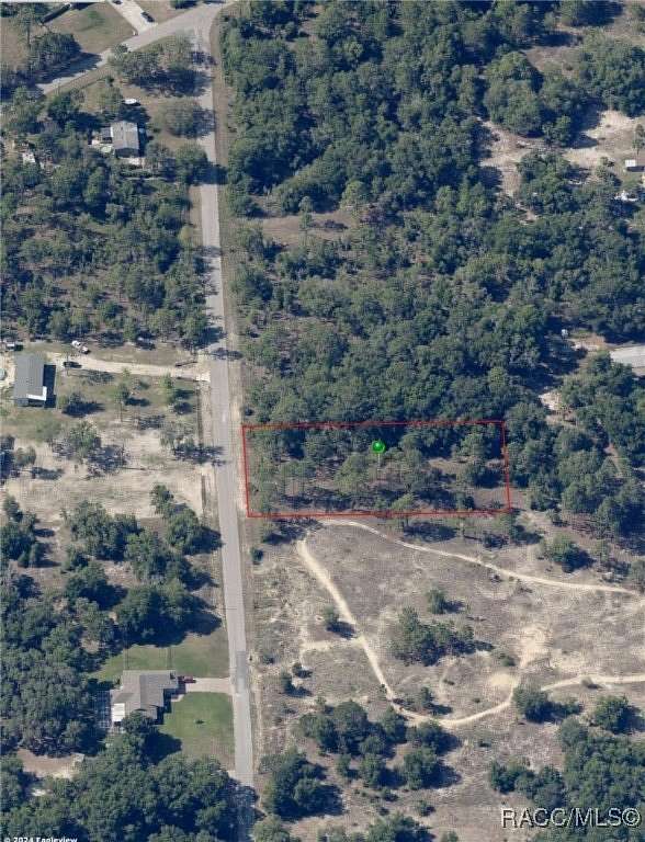 1 Acre of Land for Sale in Dunnellon, Florida