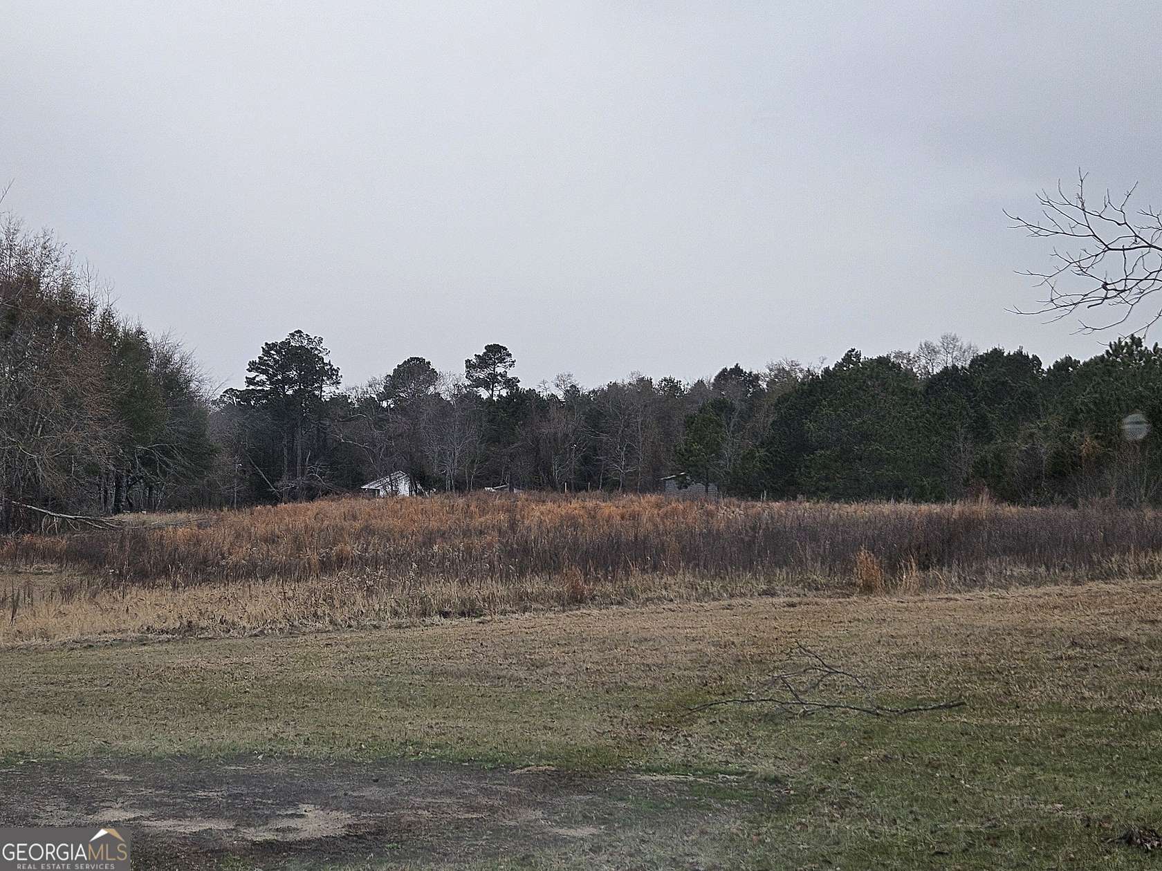 2 Acres of Residential Land for Sale in Sylvania, Georgia