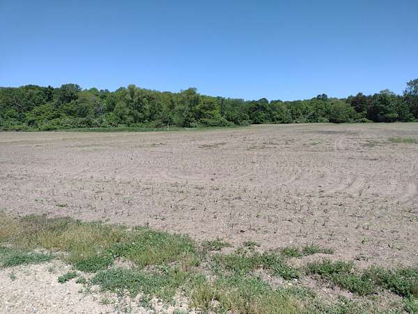 8.7 Acres of Land for Sale in Fennville, Michigan