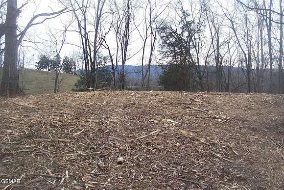 11 Acres of Land for Sale in Seymour, Tennessee