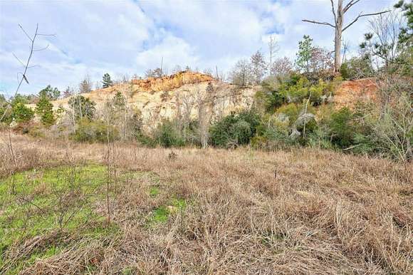 Land for Sale in Bastrop, Texas