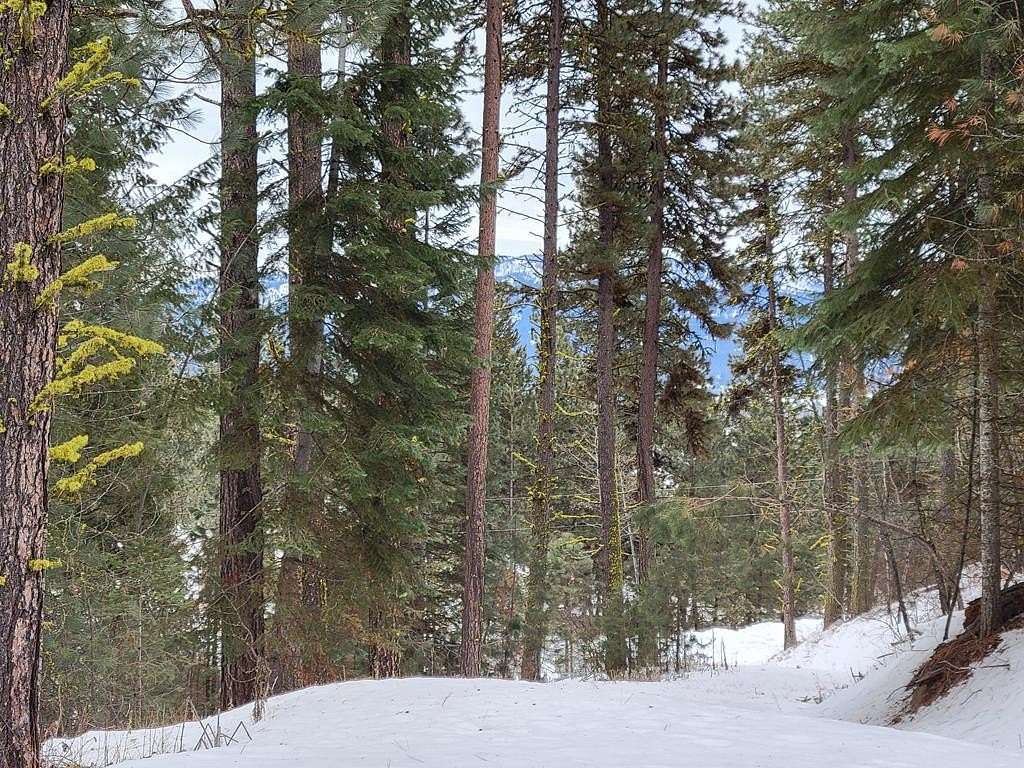 3.16 Acres of Residential Land for Sale in Cascade, Idaho