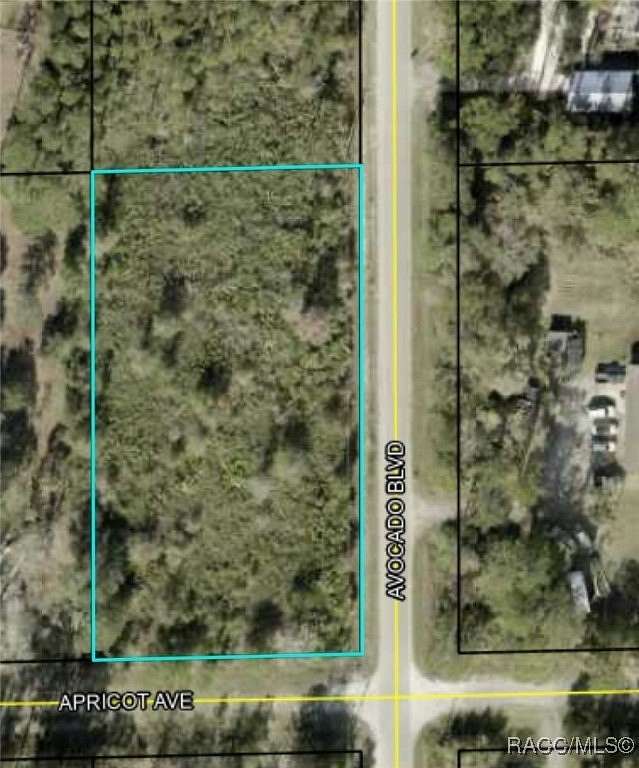 1.14 Acres of Residential Land for Sale in Bunnell, Florida