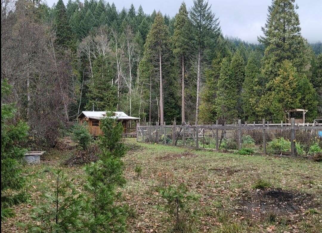 3.83 Acres of Residential Land for Sale in Selma, Oregon