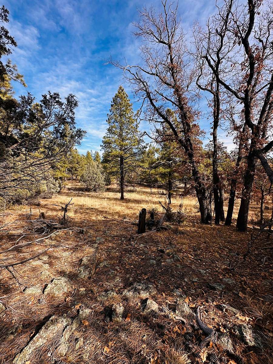 3.45 Acres of Land for Sale in Tierra Amarilla, New Mexico