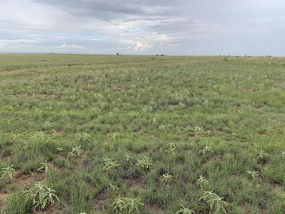 40 Acres of Agricultural Land for Sale in Estancia, New Mexico