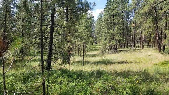 5.03 Acres of Residential Land for Sale in Deer Park, Washington