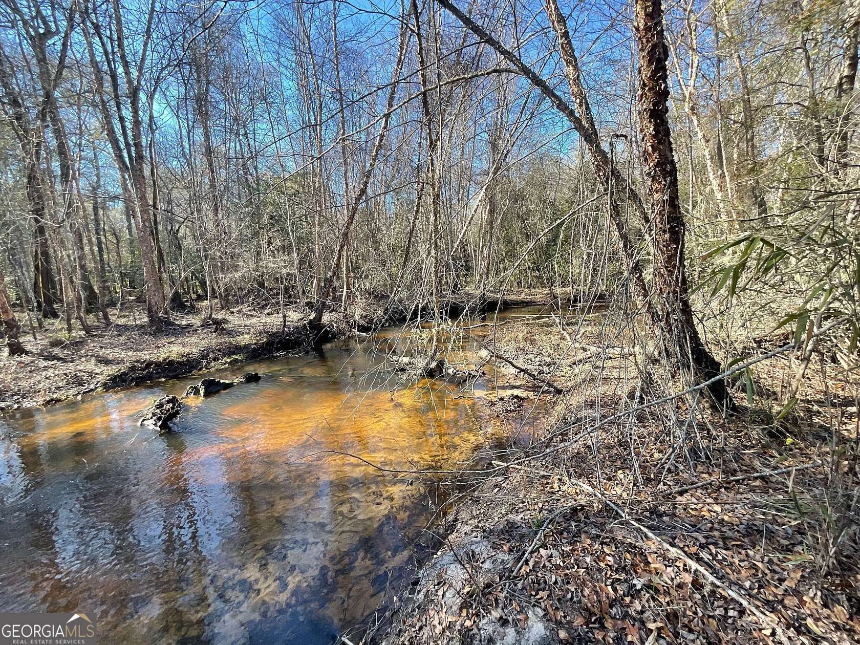 48.8 Acres of Land for Sale in Jeffersonville, Georgia
