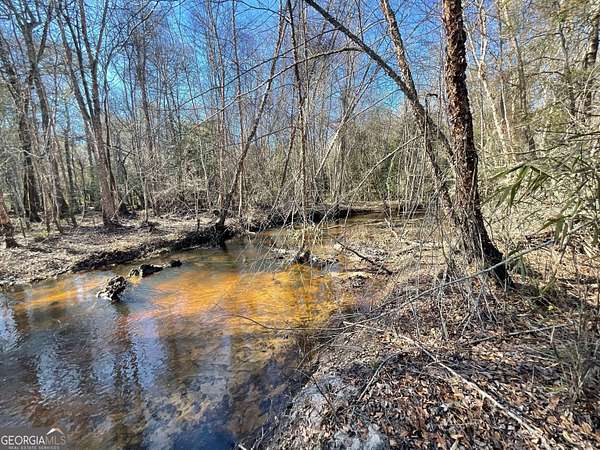 48.8 Acres of Land for Sale in Jeffersonville, Georgia