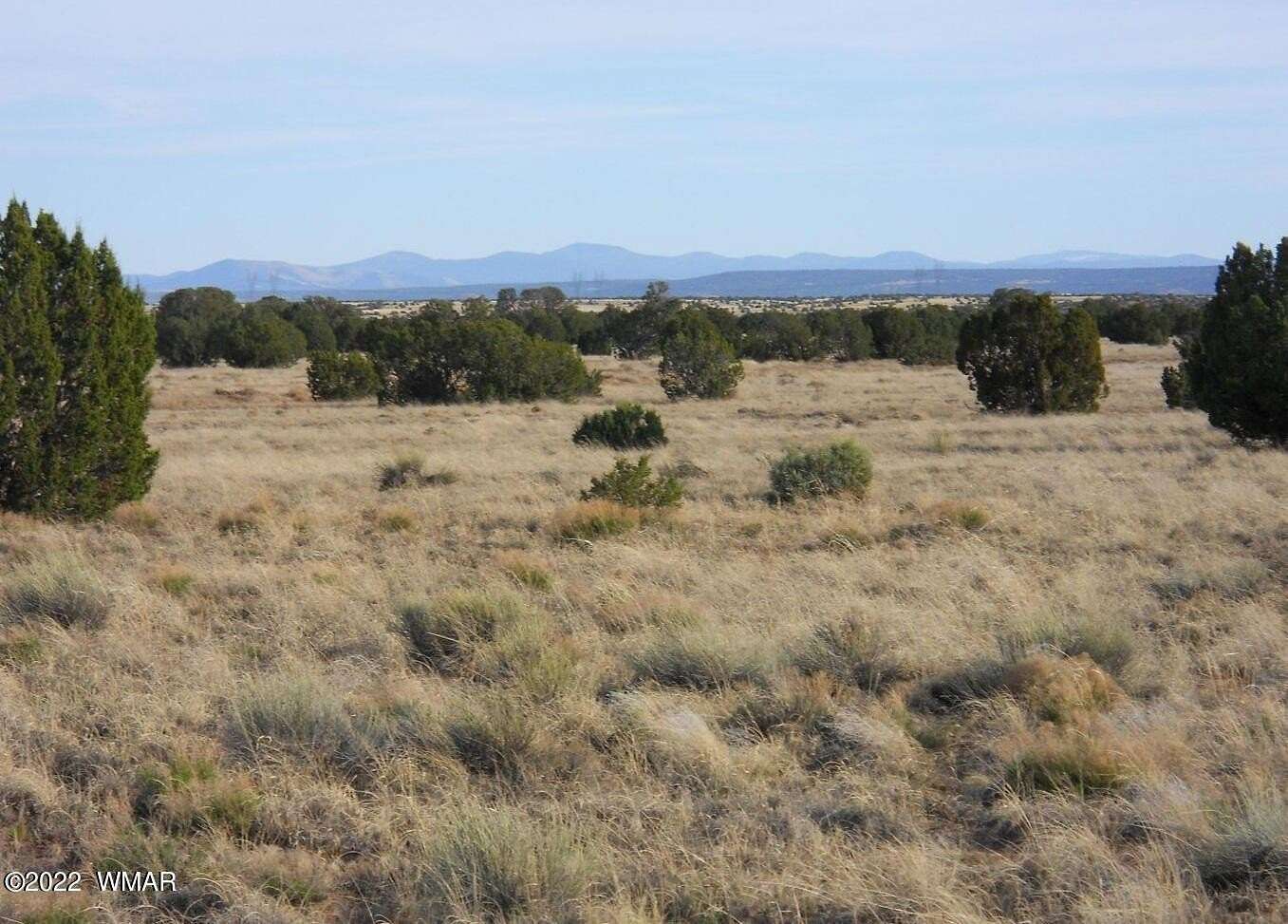 38 Acres of Land for Sale in Concho, Arizona