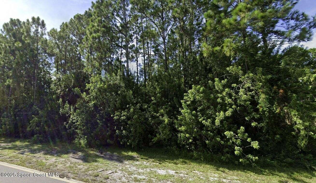 0.23 Acres of Residential Land for Sale in Palm Bay, Florida