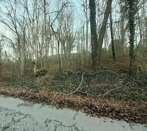 0.52 Acres of Residential Land for Sale in La Follette, Tennessee