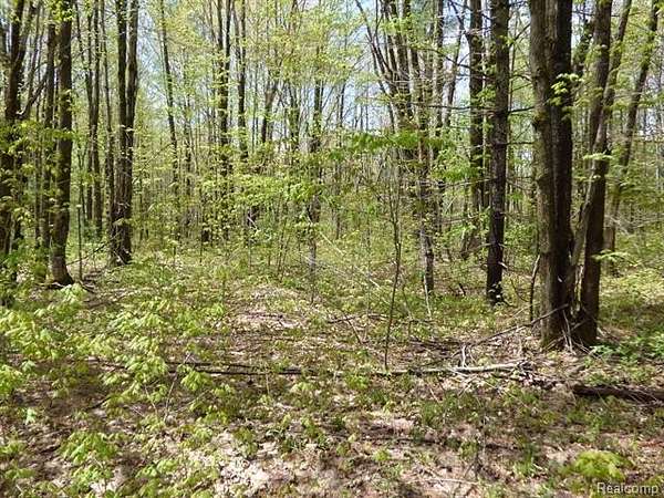 0.43 Acres of Residential Land for Sale in Hayes Township, Michigan