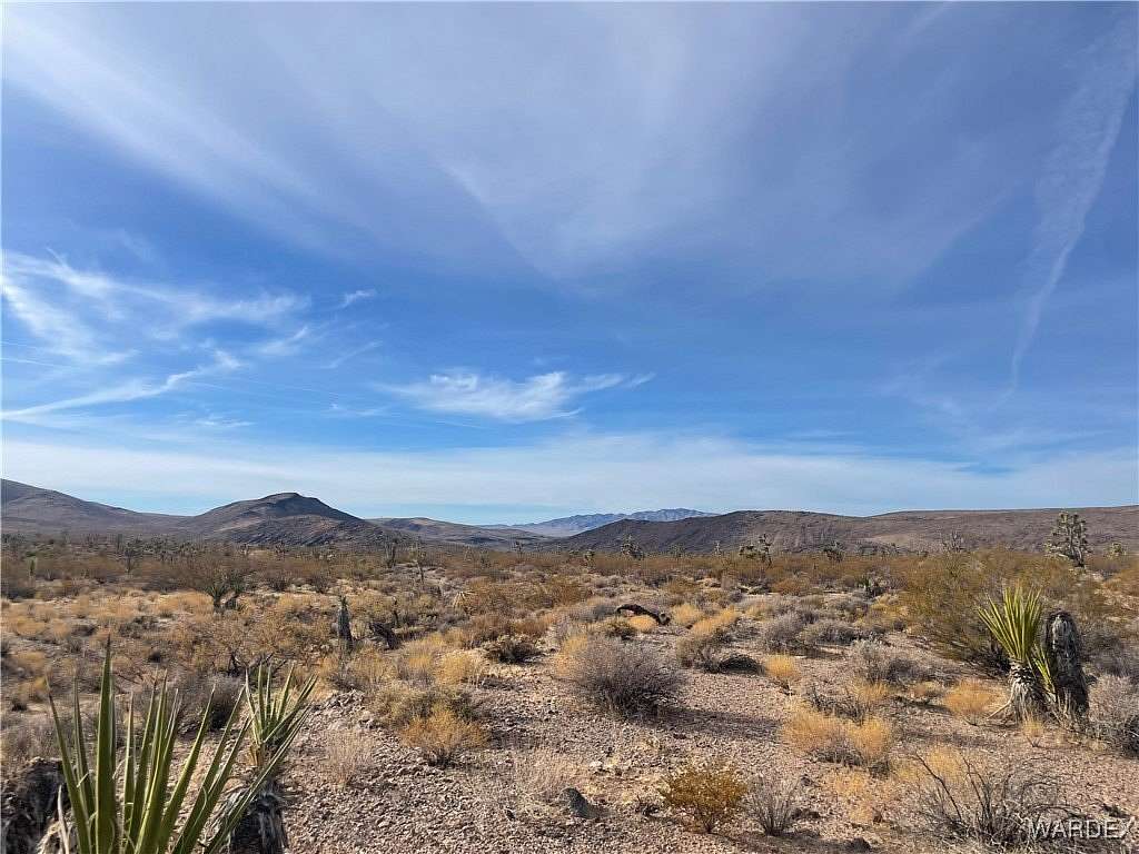 1 Acre of Residential Land for Sale in White Hills, Arizona