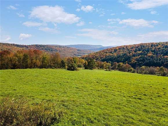 119.9 Acres of Agricultural Land with Home for Sale in Walton, New York ...