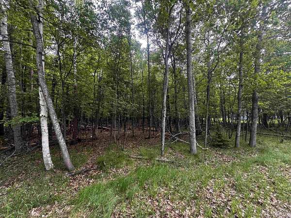 0.96 Acres of Residential Land for Sale in Gladstone, Michigan