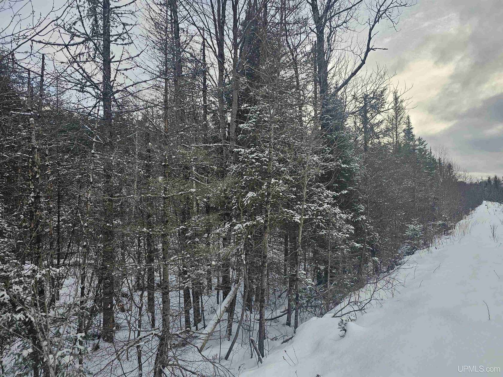 40 Acres of Recreational Land for Sale in Amasa, Michigan