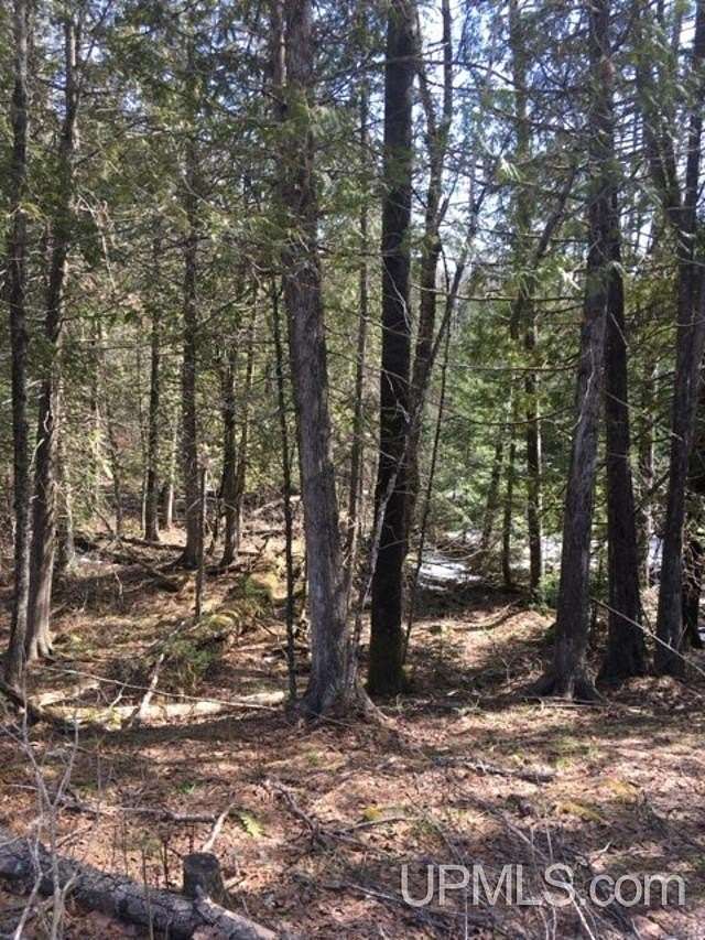 40 Acres of Recreational Land for Sale in Amasa, Michigan - LandSearch