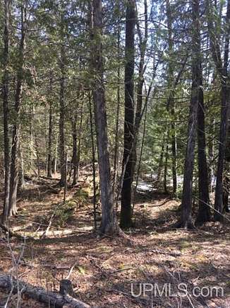 40 Acres of Recreational Land for Sale in Amasa, Michigan