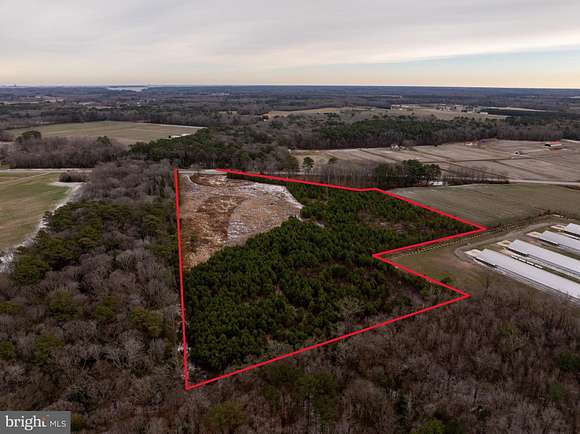 16.1 Acres of Land for Sale in Whaleyville, Maryland