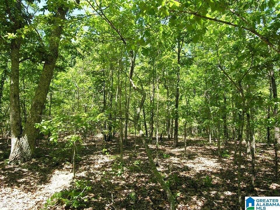 3 Acres of Residential Land for Sale in Bessemer, Alabama