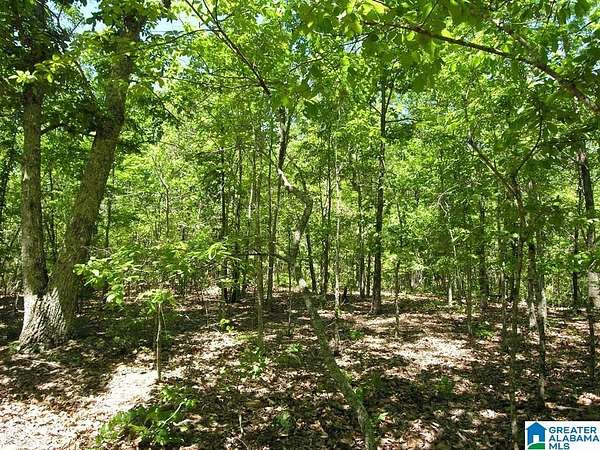 6 Acres of Residential Land for Sale in Bessemer, Alabama