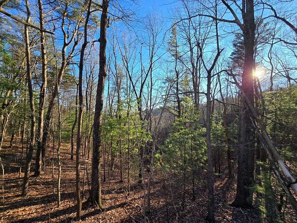 2.5 Acres of Land for Sale in Chatsworth, Georgia