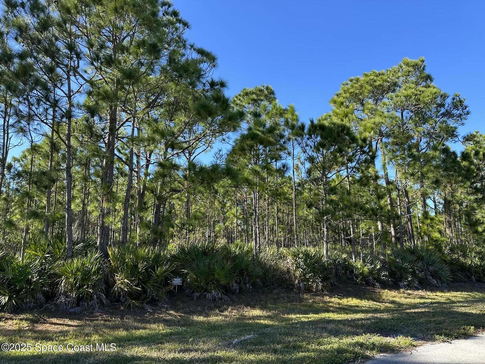 1.01 Acres of Residential Land for Sale in Grant, Florida