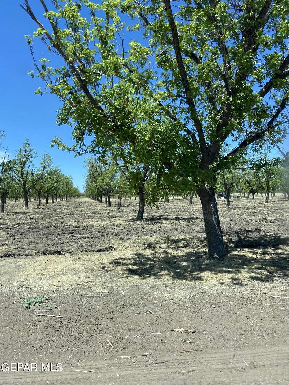 2.5 Acres of Land for Sale in Anthony, New Mexico