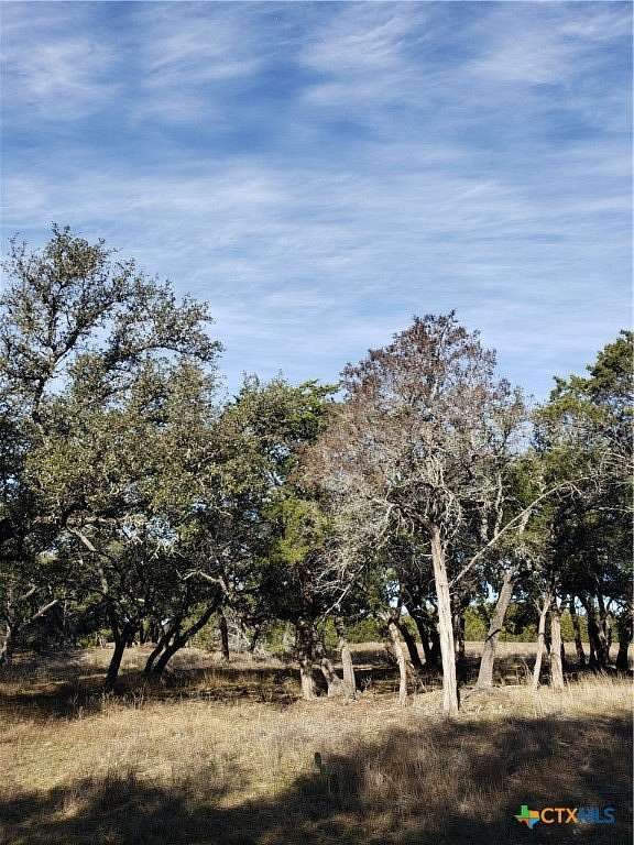 14.32 Acres of Land for Sale in Lampasas, Texas