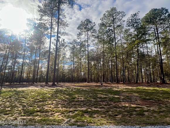 9.64 Acres of Agricultural Land for Sale in Lucedale, Mississippi