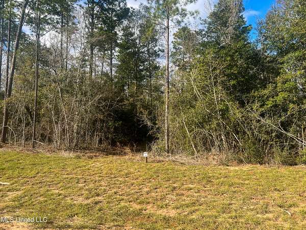 9.64 Acres of Agricultural Land for Sale in Lucedale, Mississippi