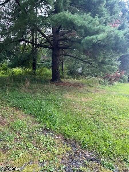 0.8 Acres of Commercial Land for Sale in Branchburg Township, New Jersey