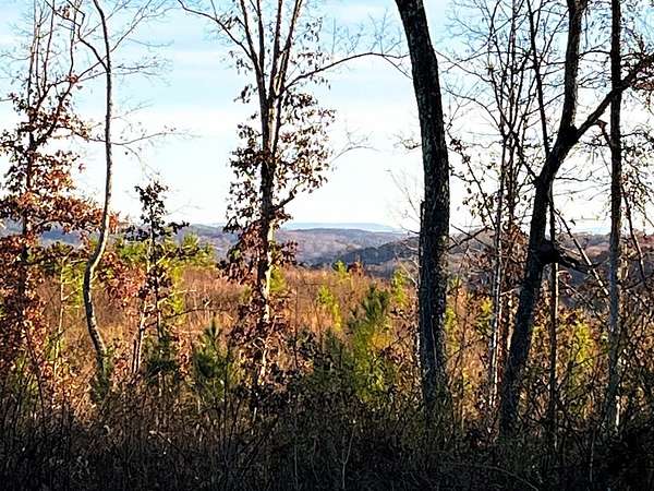 16.8 Acres of Land for Sale in Ten Mile, Tennessee